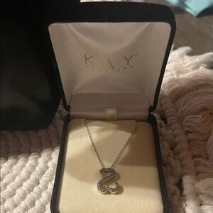 Kay Jewelers Silver Snake Necklace